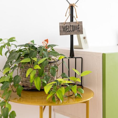 Springhome - Cozy Apartment With Balcony & Parking ブラショフ エクステリア 写真