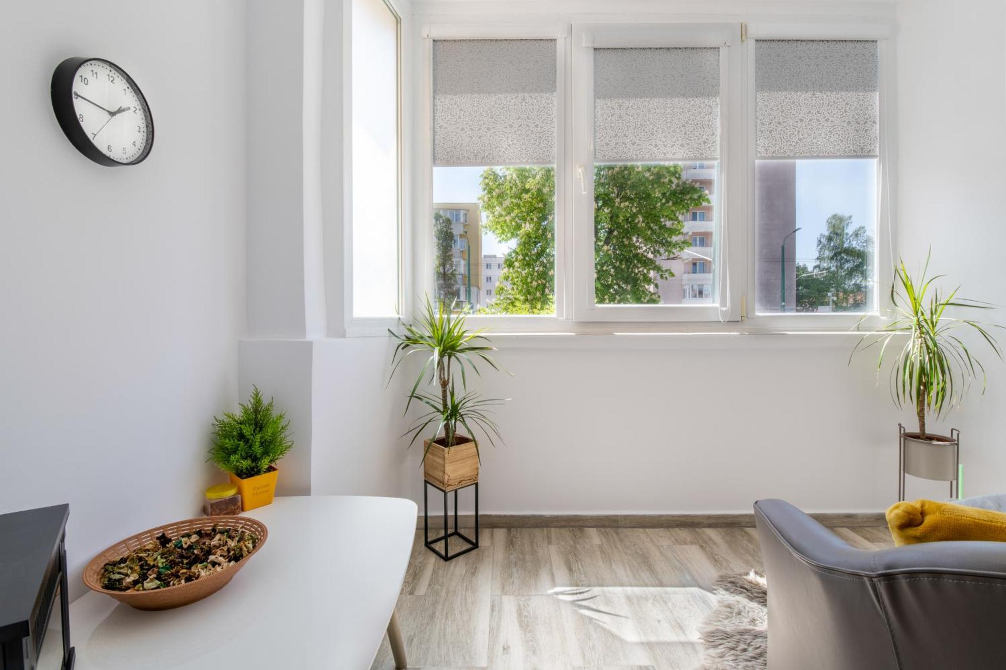 Springhome - Cozy Apartment With Balcony & Parking ブラショフ エクステリア 写真